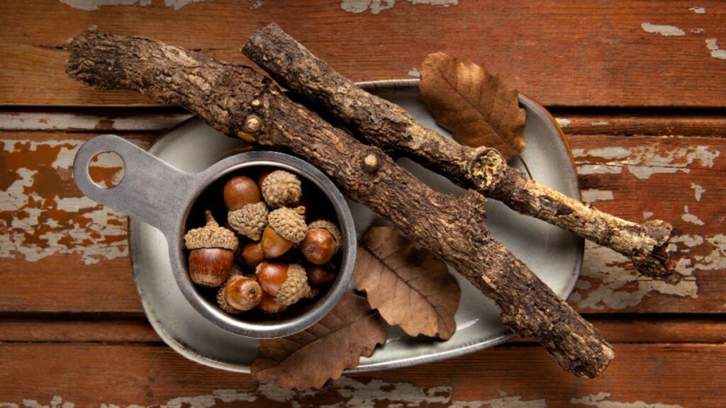 Klemroot Controversy Unearthing the Truth About History’s Most Mysterious Herb